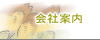 Information